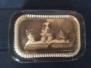 10414467_10203844321741412_4271676552029538005_n-1