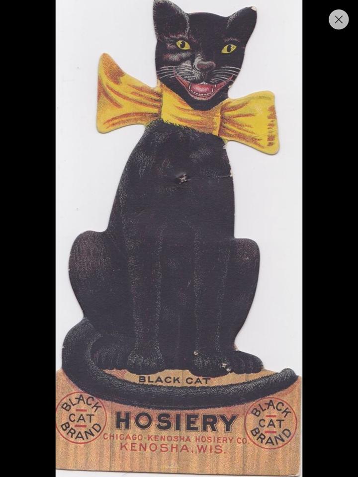 10460413_10203601149302253_5323731571812401495_n