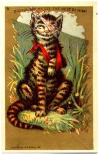 charles-co-the-winner