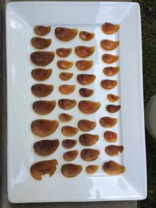 operculum on platter