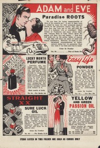 Lucky Black Cat interior 1