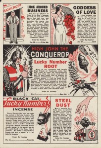 Lucky Black Cat interior 3