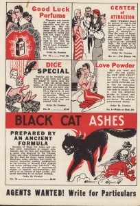 Lucky Black Cat interior 2