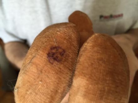 0f0f7f4e-01d9-412f-8668-96a7053b599c