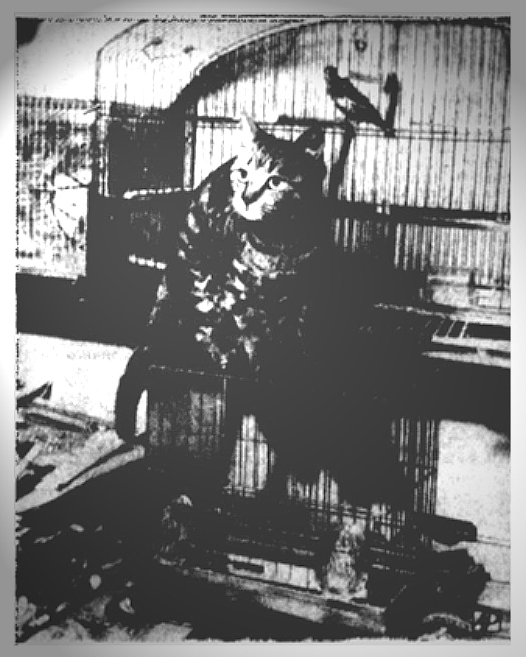 cat-that-ate-the-canary-1952