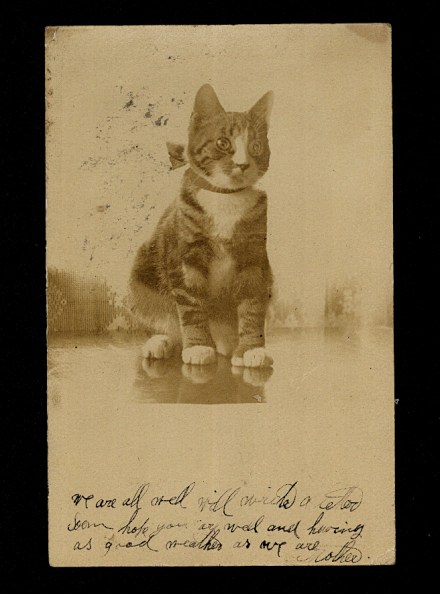 20161120-00005-copy-copy