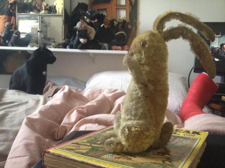 10401372_10203560954537409_1988001766767677101_n