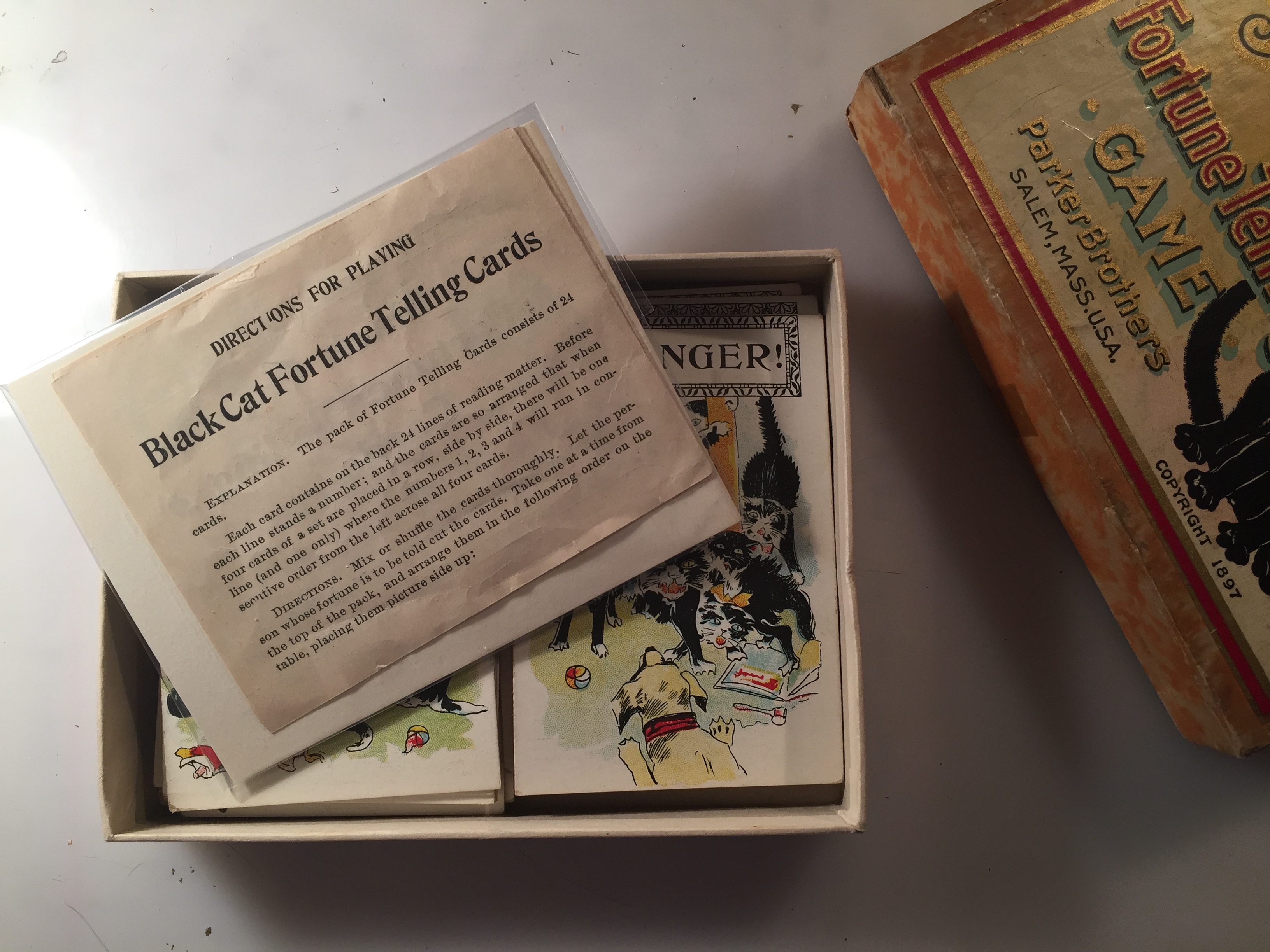 Inside cat game boxJPG