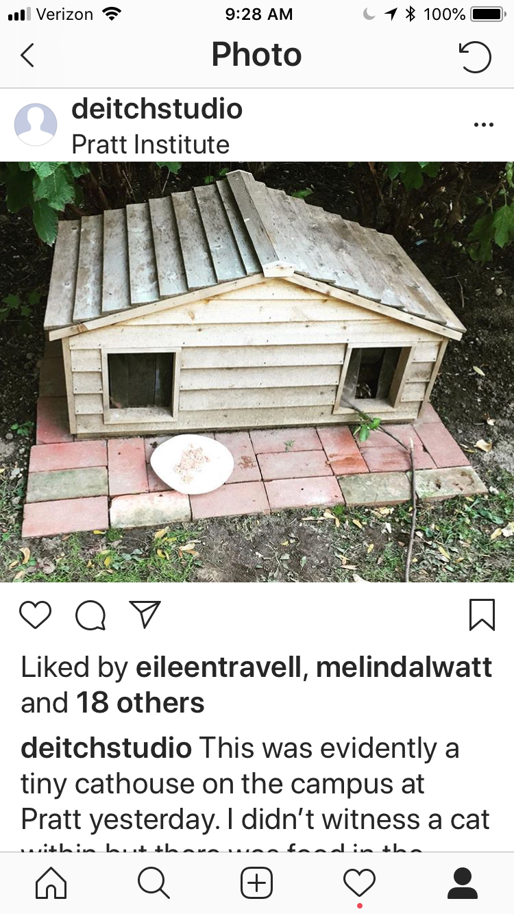 cat house Pratt.jpeg