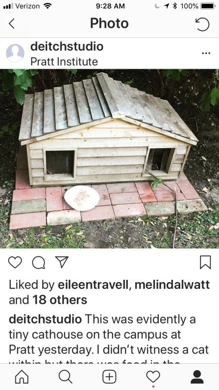 cat house Pratt.jpeg