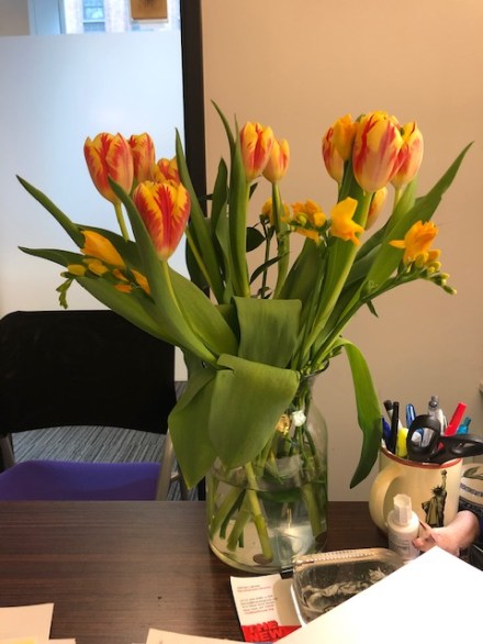 56623256566__F74CD494-D3BA-4E5B-9BFE-B5A8EADC88AA