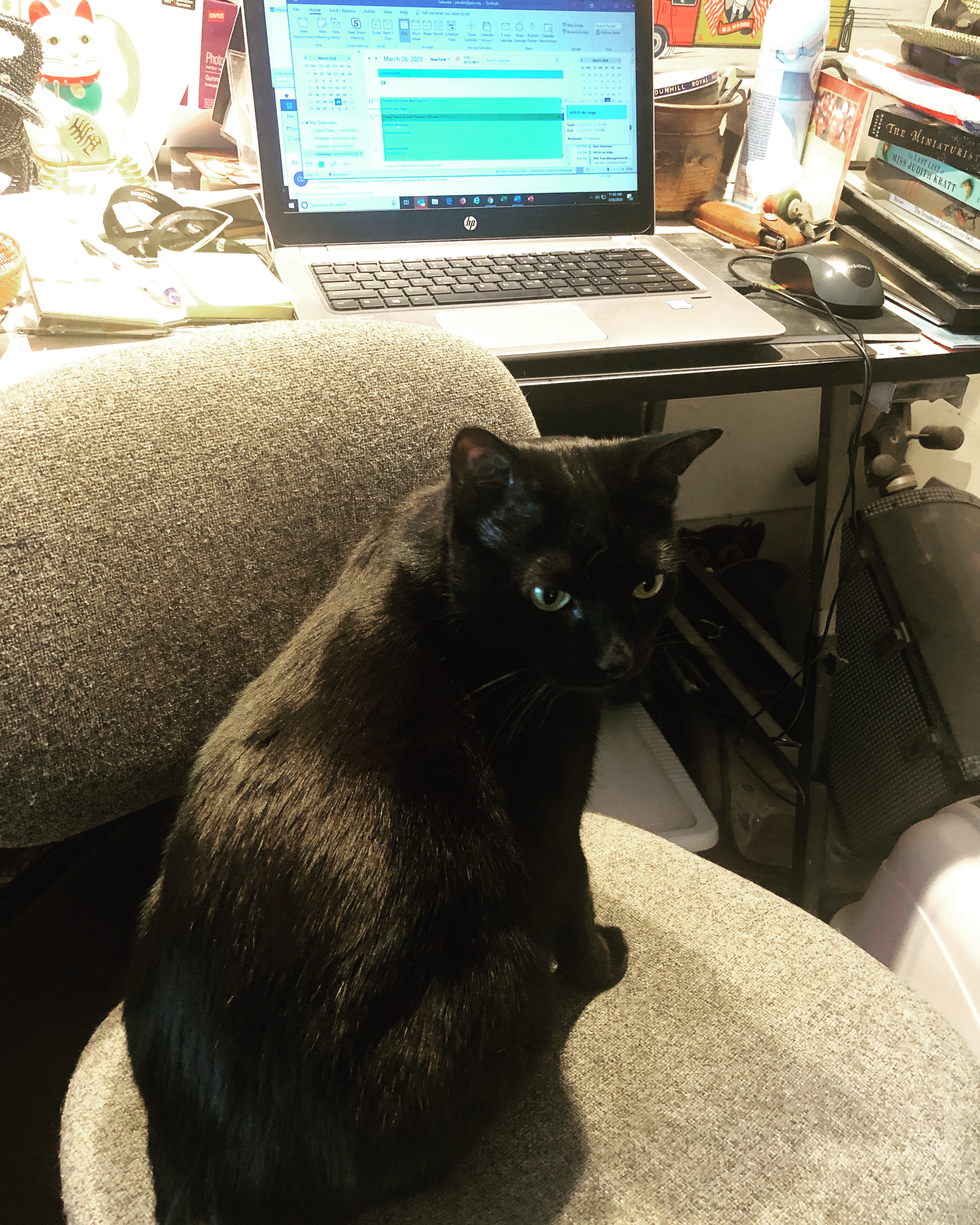 63DA4F85-0761-44E5-96C5-3E26A7153C0B