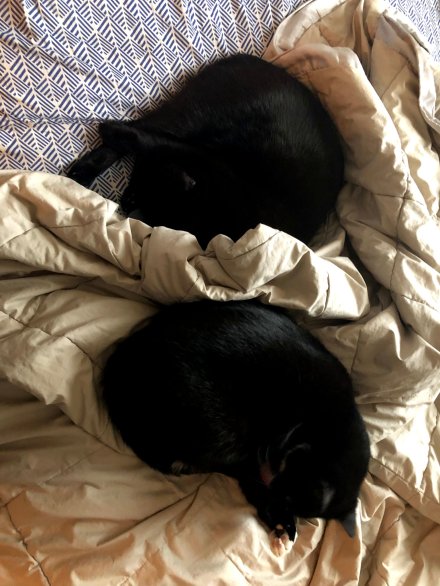 IjK3GP-WRLmLkf_4iUiE1A