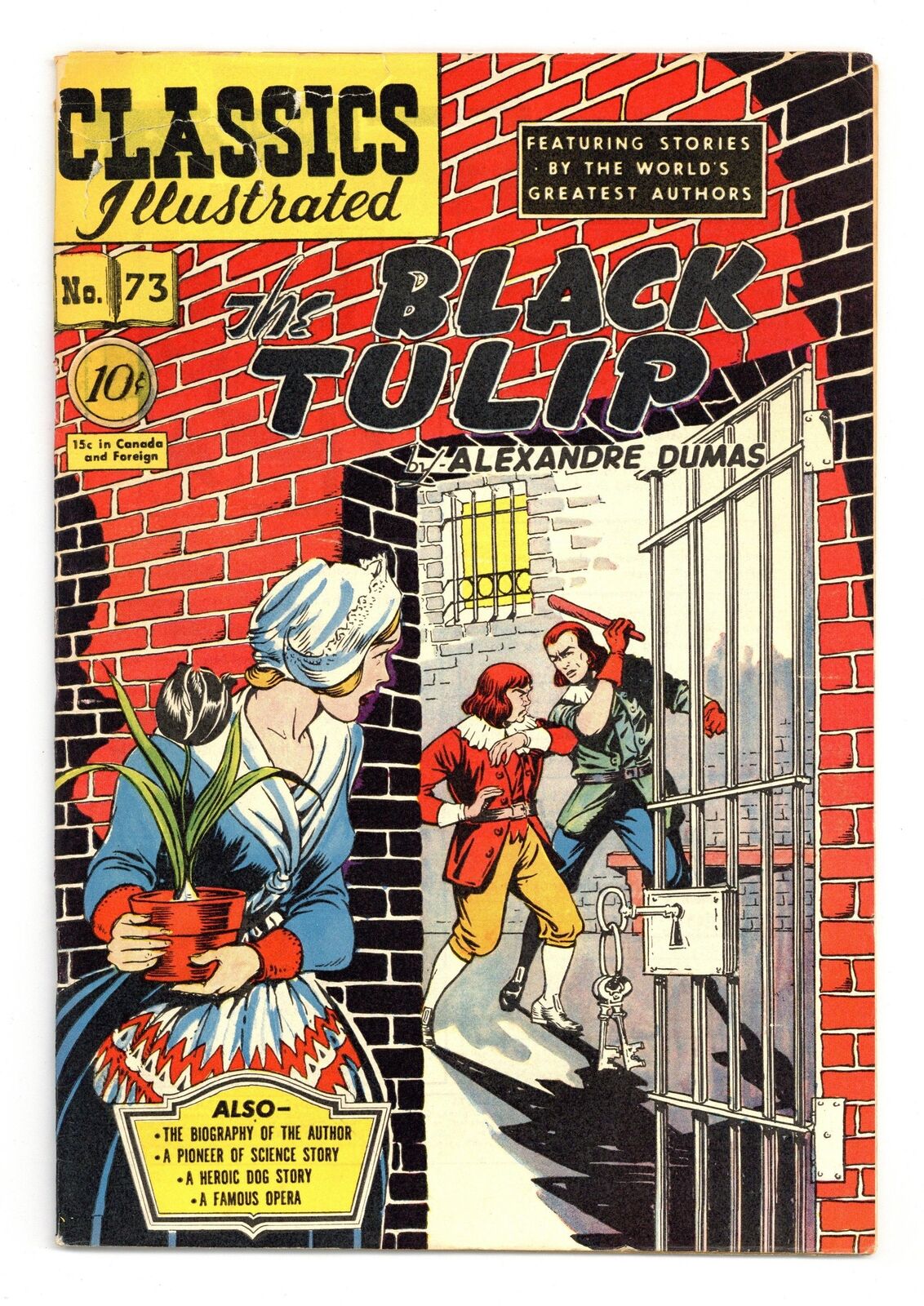 Tulip Time: Part Two | Pam's Pictorama