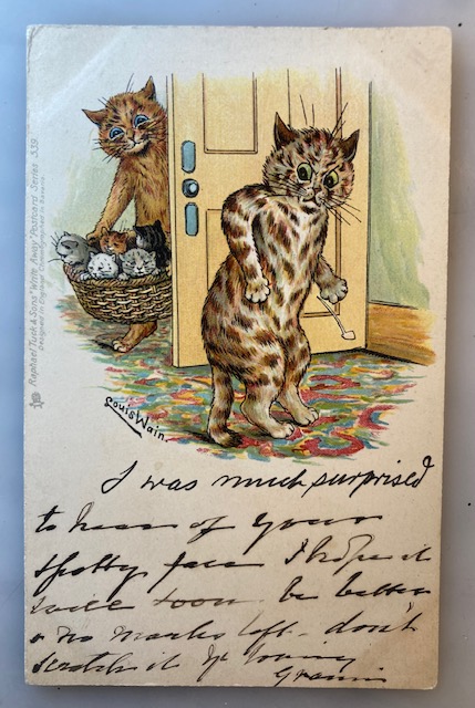 Vintage Postcard | Pam's Pictorama